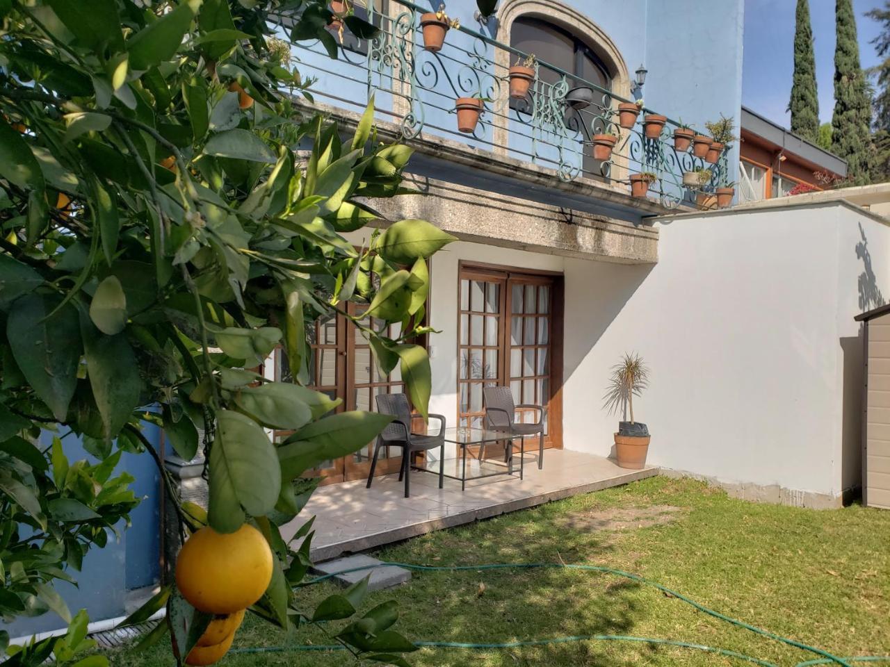 Singular Coyoacan Pepper My Love! Mexico City Exterior photo